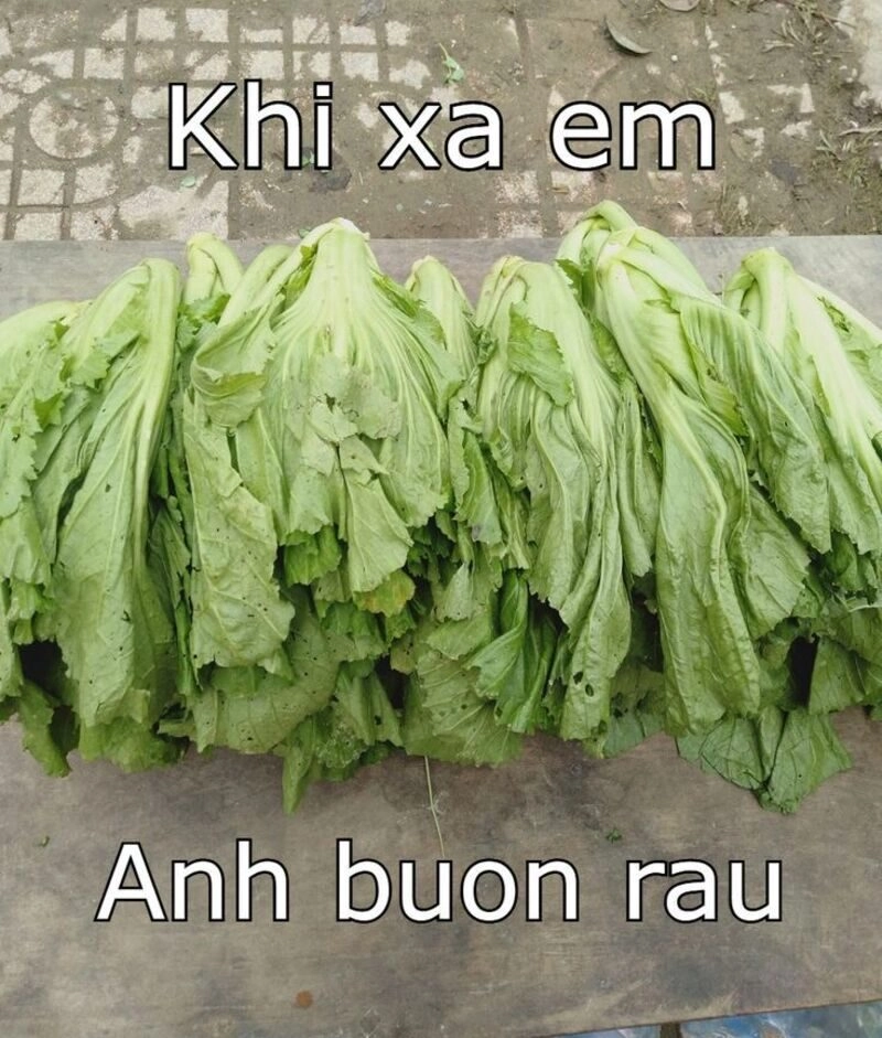 ảnh chế bí kíp tán gái